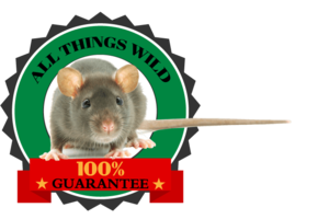Wildlife Removal Columbia SC
